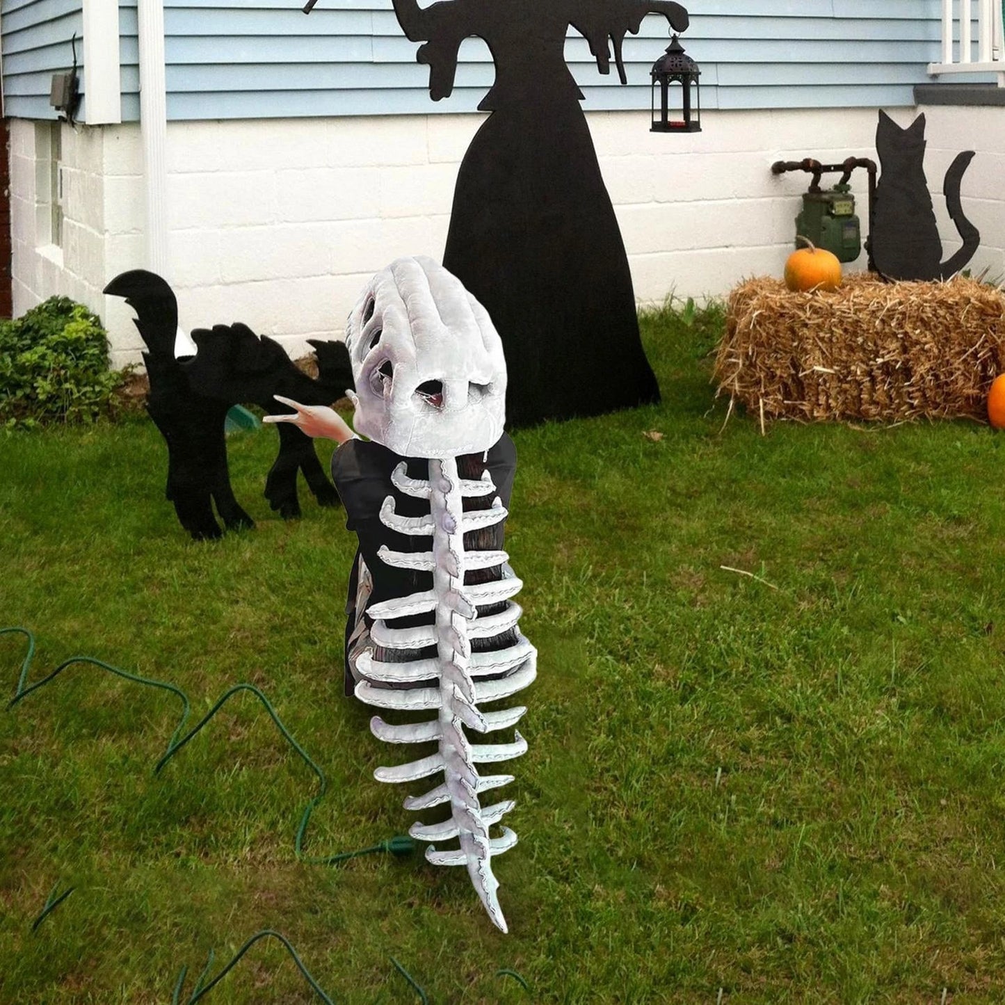 Dinosaur Skeleton Plush™